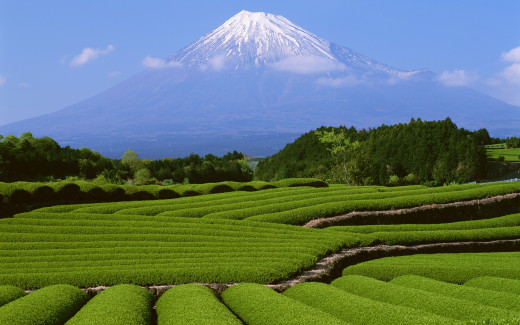 493602 (a): :2560x1600